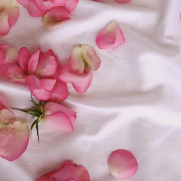 The most beautiful A flower clip can be romantic.