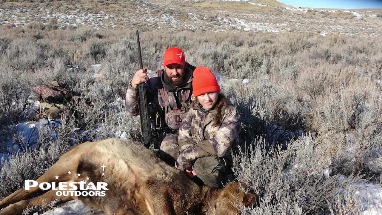 Savanna Cow Elk Shot