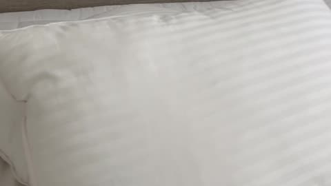 Beckham Hotel Collection Bed Pillows Standard