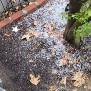 Snow in La Canada CA