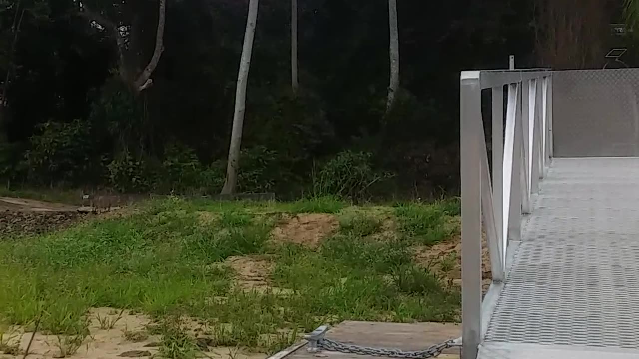 7.9.2024 The Barron River, Kuranda (3)