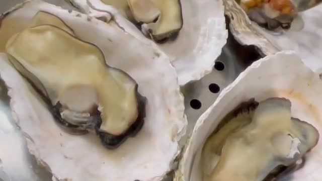 Oysters are also a delicacy