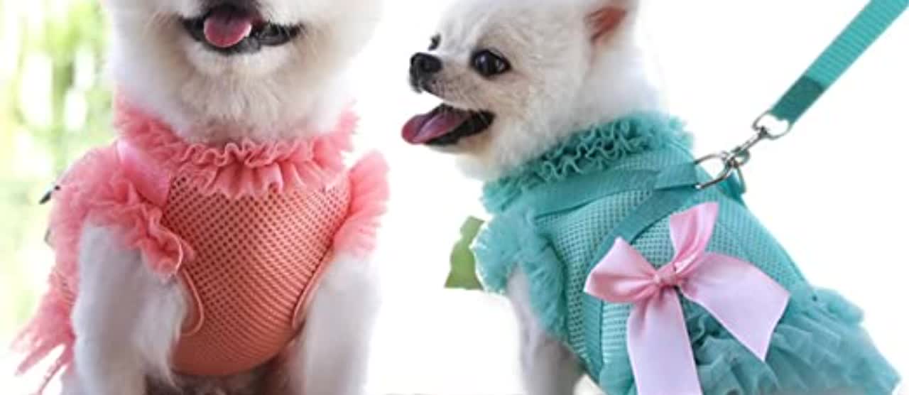 # Puppy Dog Cat Clothes Harness