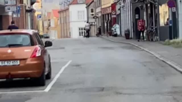 Drunk Man Hit Dog In Denmark