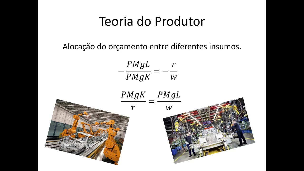 Microeconomia 114 Teoria do Produtor Escolha Ótima de Insumos