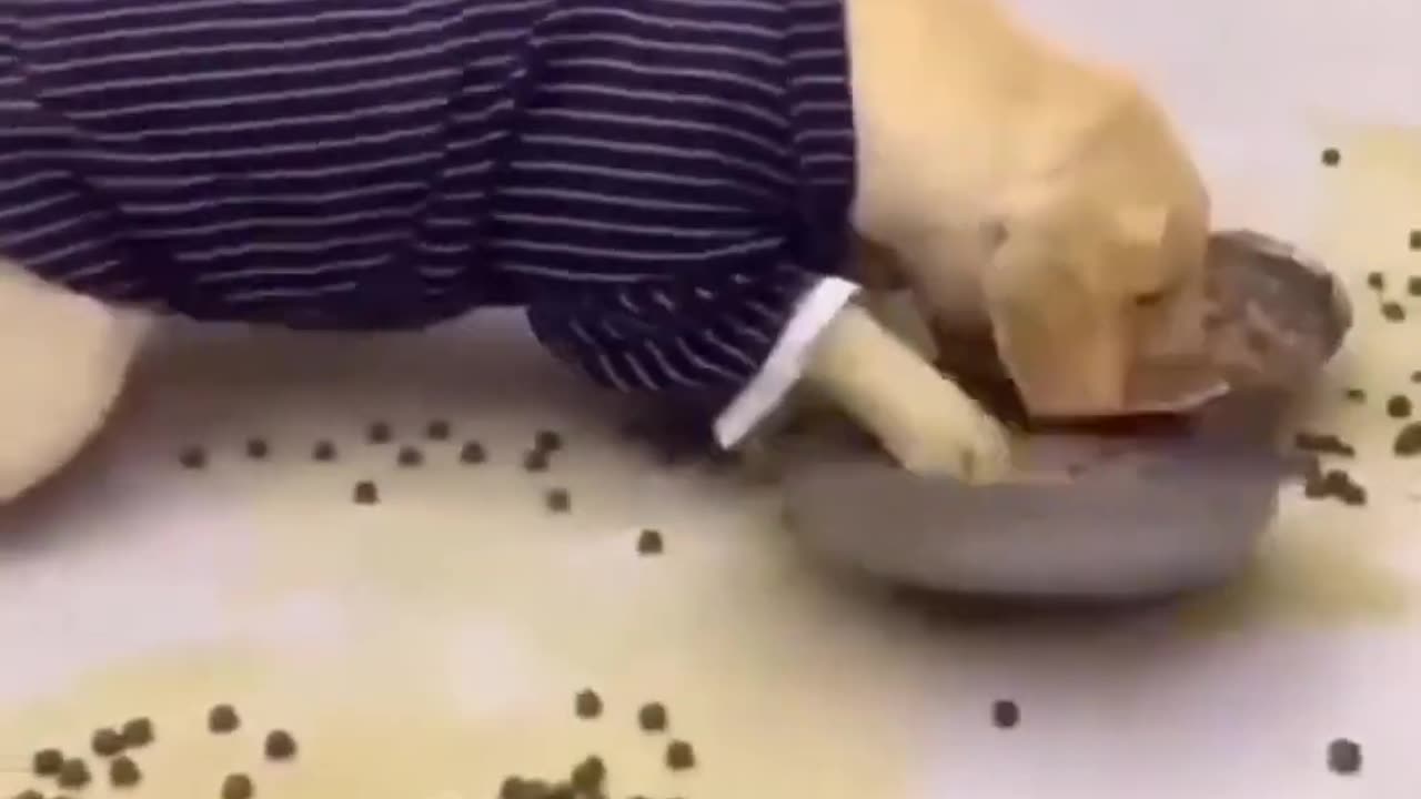 Big fails compilation try not to laugh 6 funny fails memes