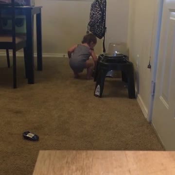 Baby tries filling dog bowl with water using only her hand