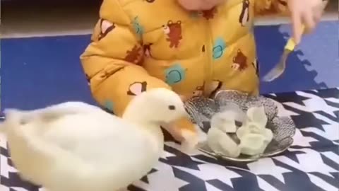 So funny...Babies are bullied by animals __