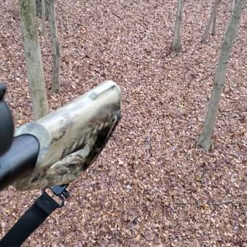 Bucky the button buck