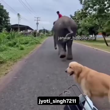 Funny moments #72 😅