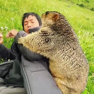 Cute Wild animal or prairie dog eating cookies yummy