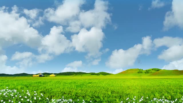 The scenery of Qingqing grassland