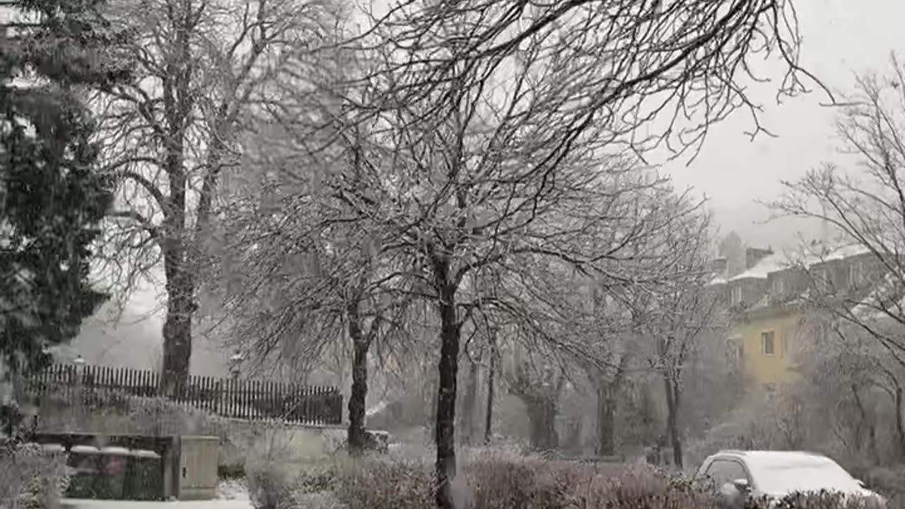 Winter