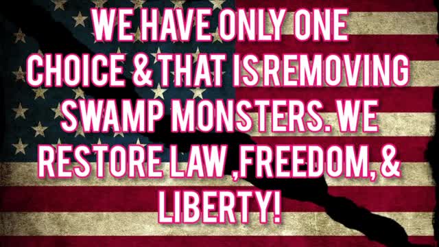 THE UNITED STATES OF AMERICA IS BEING INVADED!