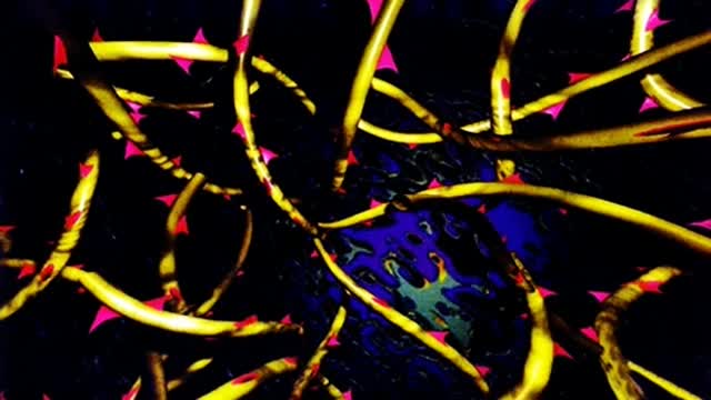 Black Rose - If I Could Only Be With You