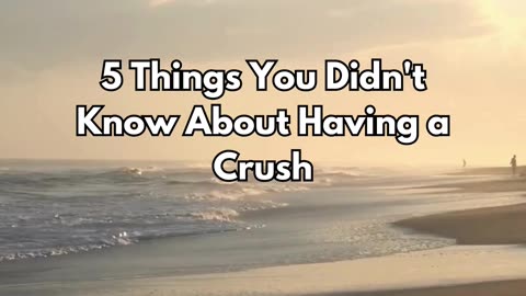 UNDERSTANDING CRUSHES