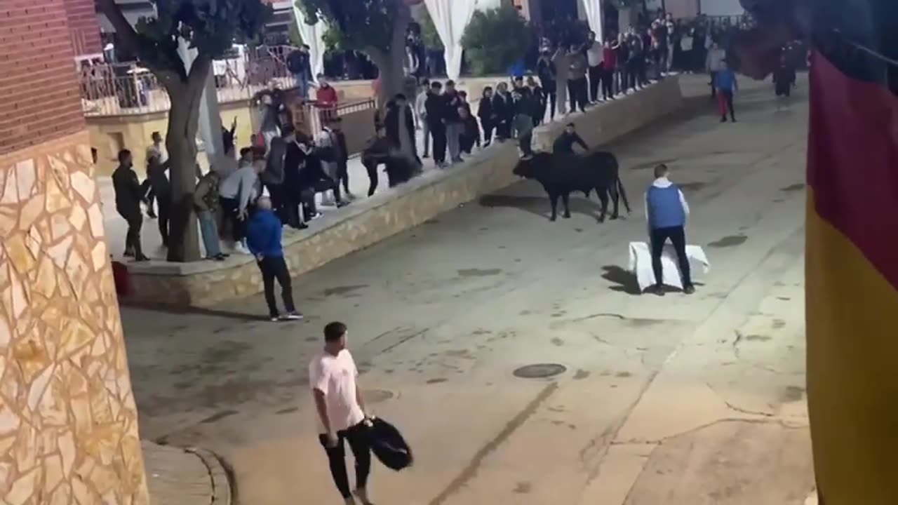 ✅AJUSTANDO EL QUIEBRO A ESTE TORO BRAVO‼️ Villarejo de Fuentes (Cuenca)