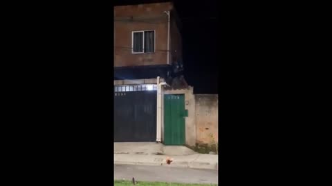 tried to enter the house through the wall