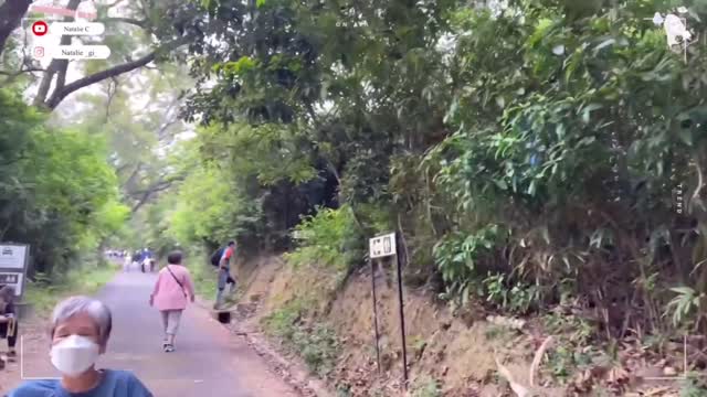 Mini Vlog河背水塘,竹林隧道&S型水壩