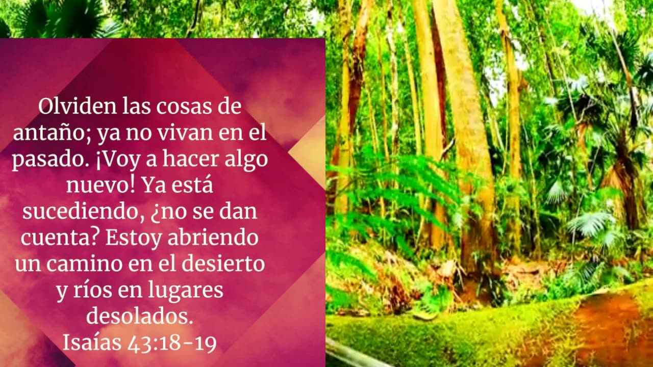 OLVIDA EL PASADO...Isaías 43:18-19_Devocional