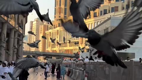 Masjid Al Haram Makkah Beateful Subhan Allah