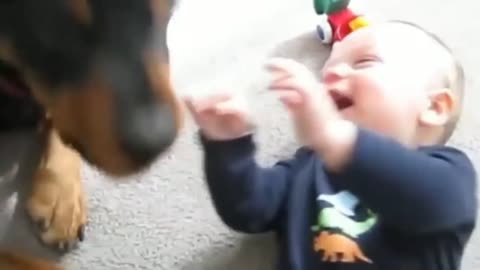 Funny baby laughing hysterically at dog