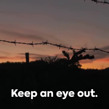 Invasion Alert: The Unseen Threat