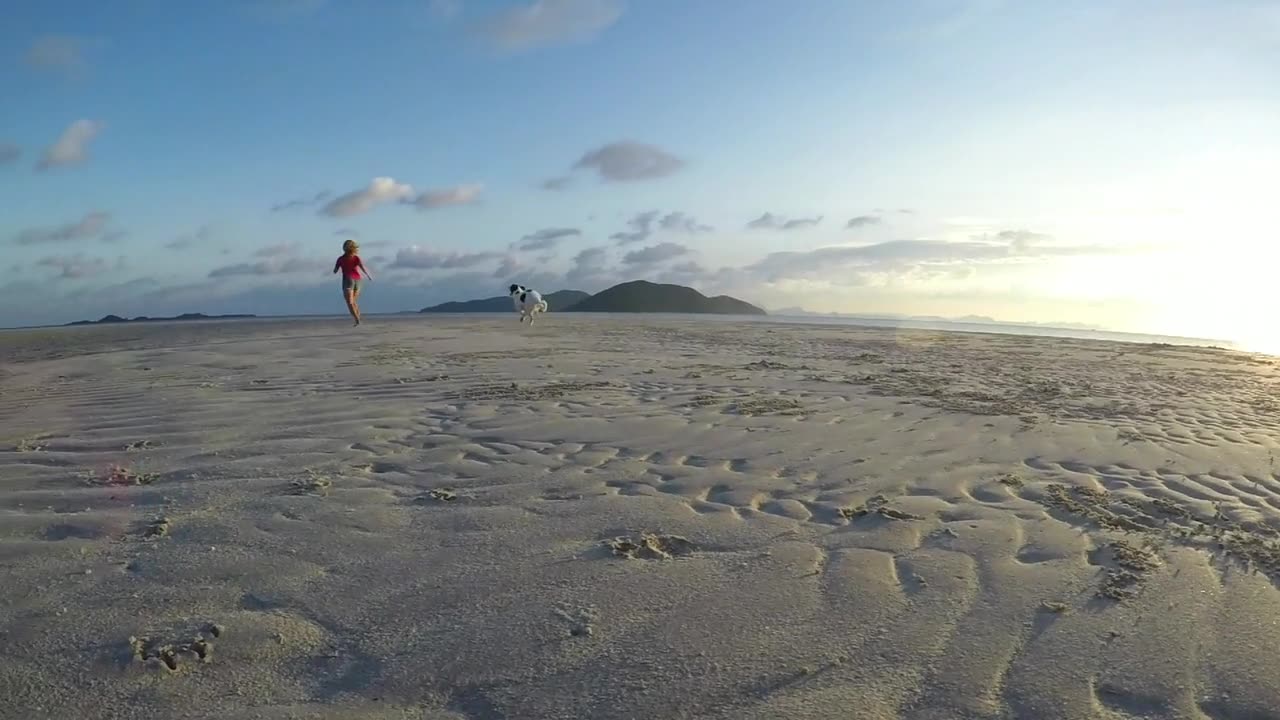 Dog Chases Owner at Lightning Speed!