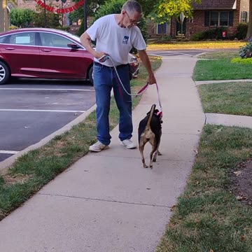 Maggie and the figure 6 game