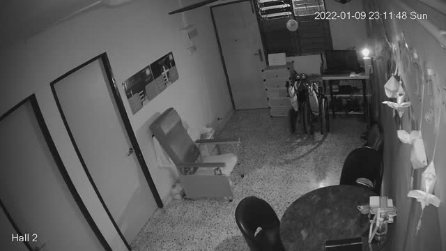 hallback day and night 20220109