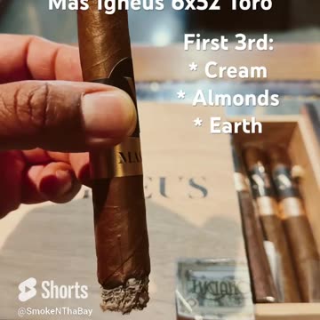 Luciano Cigars Mas Igneus 6x52 Toro #Shorts #Cigars #Short #Cigar #CigarOfTheDay
