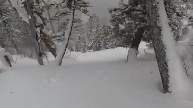 Reply to @cwgumby same #skiing #skitok #g