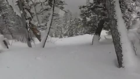 Reply to @cwgumby same #skiing #skitok #g