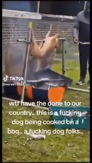 Coming to America. African migrants in Dublin roast a dog on a spit in public.