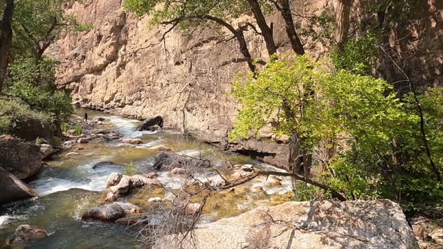 Day 19 Big Horn National Forest