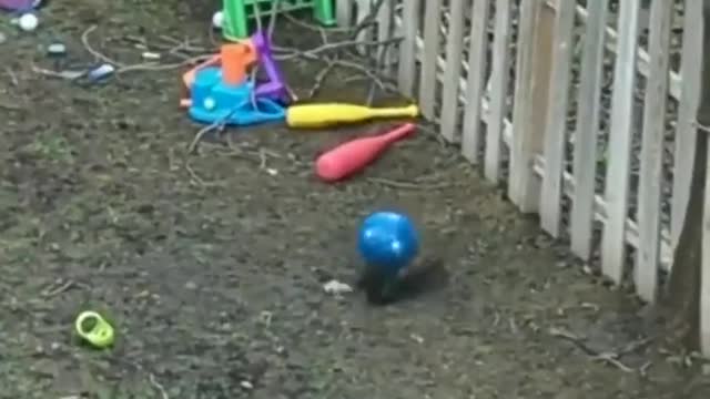 The cutest thing you are going to watch on the internet today!!