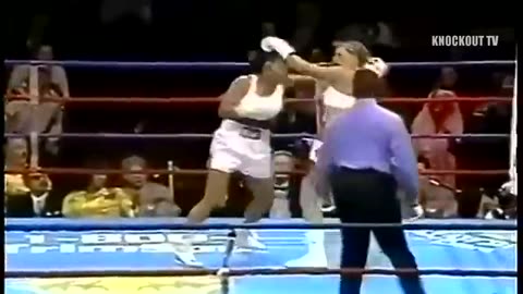 10 knck out of laila ali