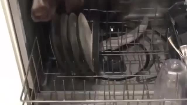 Automatic Dishwasher