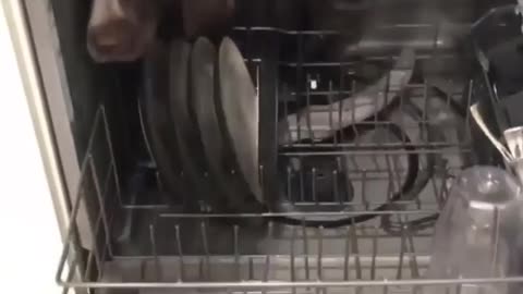 Automatic Dishwasher