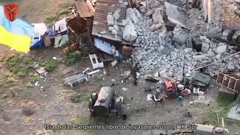 ️️️ Isla de las Serpientes libre de invasores rusos, OK Sur
