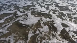 Searching for Bait at Atlantic Beach NC