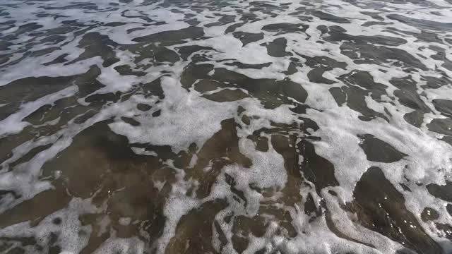 Searching for Bait at Atlantic Beach NC
