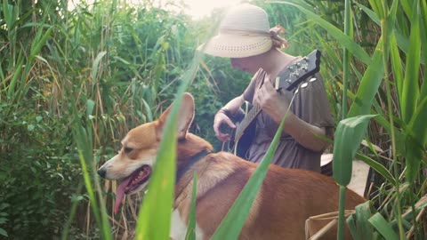 Guitar playing with dog