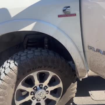 funny|prank|jokes|funny jokes|dad jokes|funny memes|funny video|fun|laughing|funny animal|knock