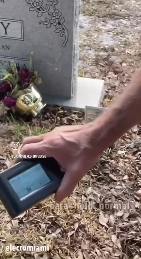 Binary codes from the graves