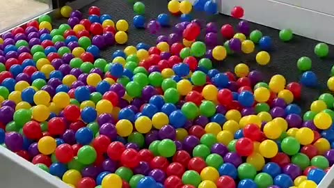 Building a Puppy Ball Pit! #cat #cute #kitten #pets #meow #videos #shorts #dog