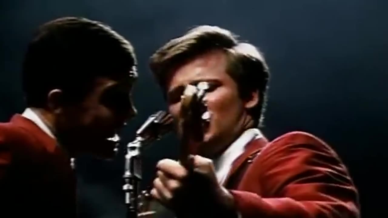 The Wonders-That Thing You Do