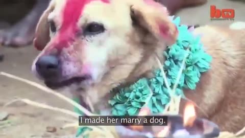 In India Women Can Marry Dogs