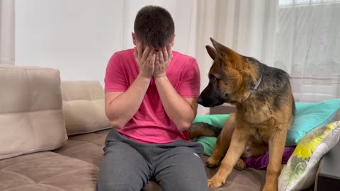 German Shepherd Puppy Reaction to Me Crying