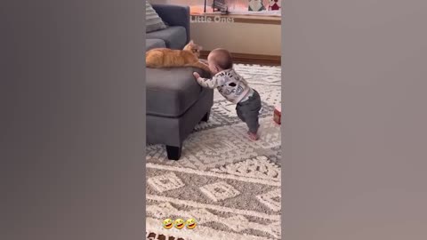 Funny Babby Video's